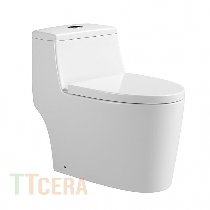 Bồn Cầu 1 Khối TTCERA BC021