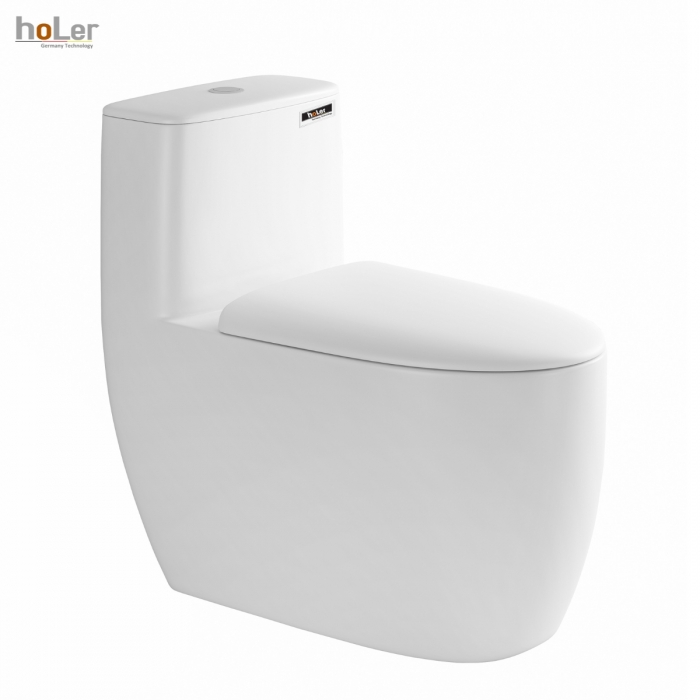 Bồn Cầu Trứng 1 Khối Holer HLBC243