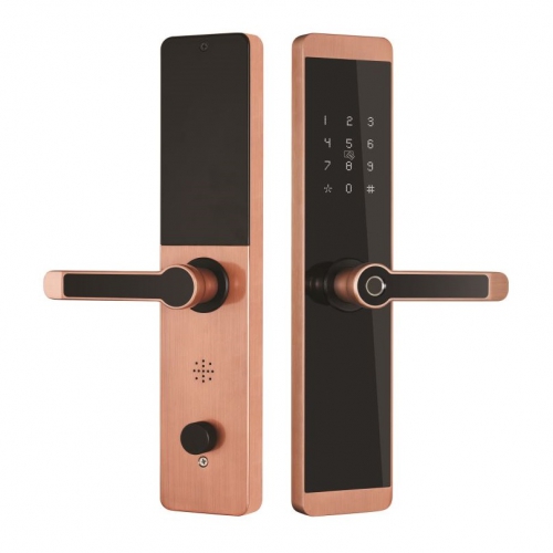 Khóa vân tay Kassler KL-600 màu đồng-Quản lý và mở khoá App Wifi.