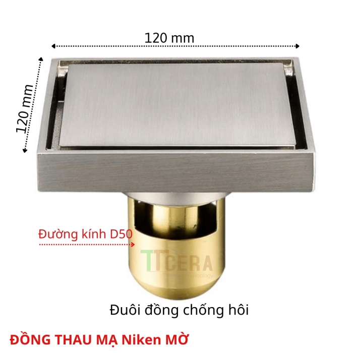 Phiễu Thoát Sàn Chống Hôi Đồng Thau Mạ NiKen Mờ TTCERA PT20